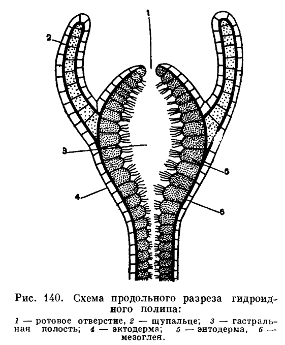 Блекспрут нет blacksprut adress com